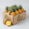 Ananas Victoria Frais – Ananas Premium Sucré et Juteux